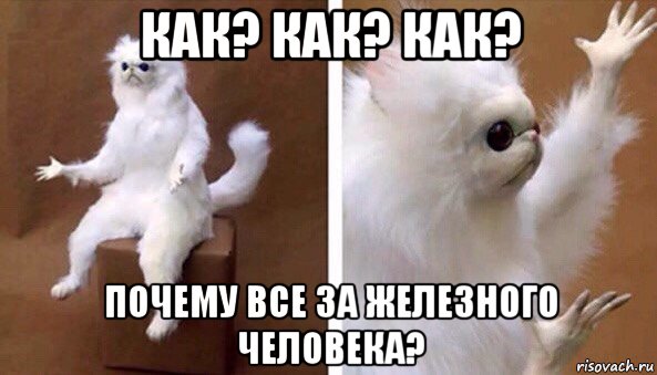 как? как? как? почему все за железного человека?, Мем Чучело кота