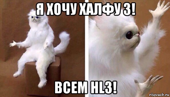 я хочу халфу 3! всем hl3!, Мем Чучело кота