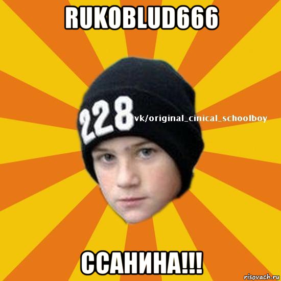 rukoblud666 ссанина!!!, Мем  Циничный школьник