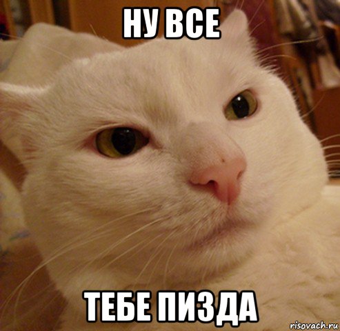 ну все тебе пизда, Мем Дерзкий котэ