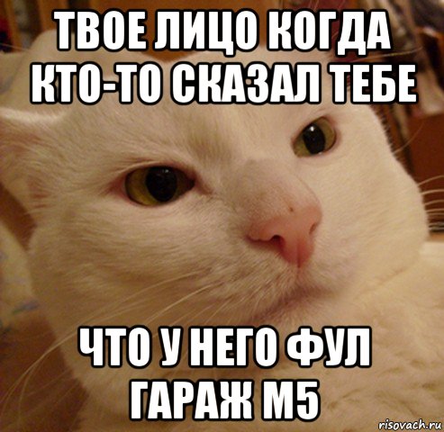 твое лицо когда кто-то сказал тебе что у него фул гараж м5, Мем Дерзкий котэ