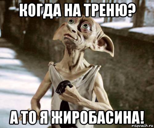 когда на треню? а то я жиробасина!