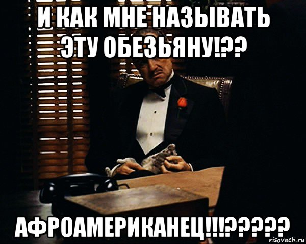 и как мне называть эту обезьяну!?? афроамериканец!!!?????, Мем Дон Вито Корлеоне