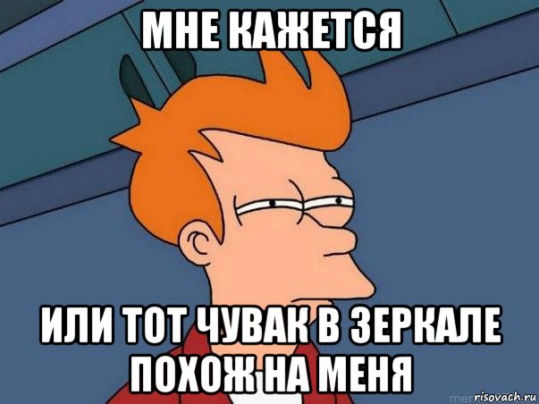 мне кажется или тот чувак в зеркале похож на меня, Мем  Фрай (мне кажется или)