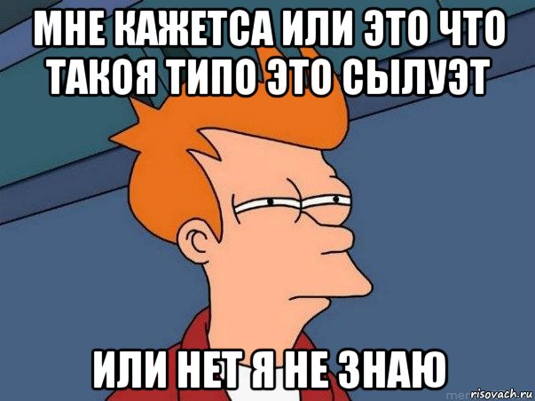 мне кажетса или это что такоя типо это сылуэт или нет я не знаю, Мем  Фрай (мне кажется или)