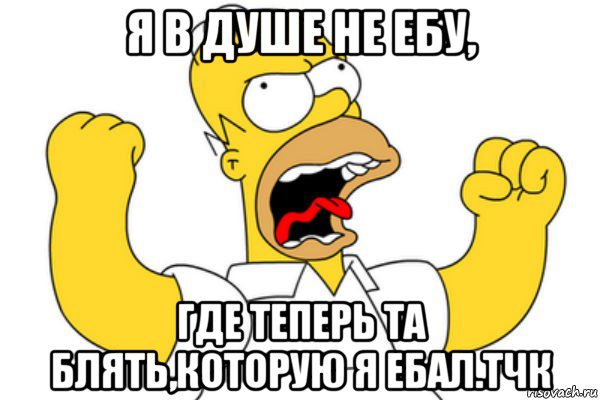 я в душе не ебу, где теперь та блять,которую я ебал.тчк, Мем Разъяренный Гомер