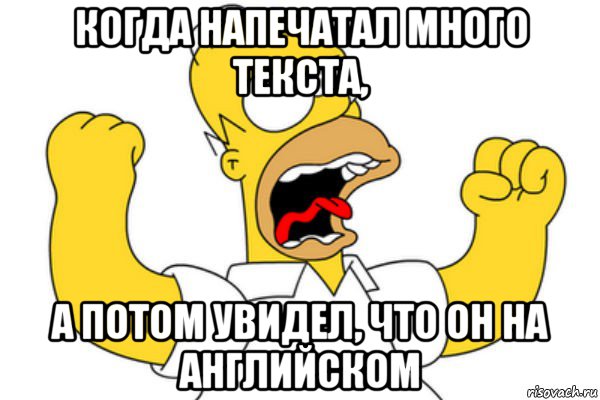 когда напечатал много текста, а потом увидел, что он на английском, Мем Разъяренный Гомер