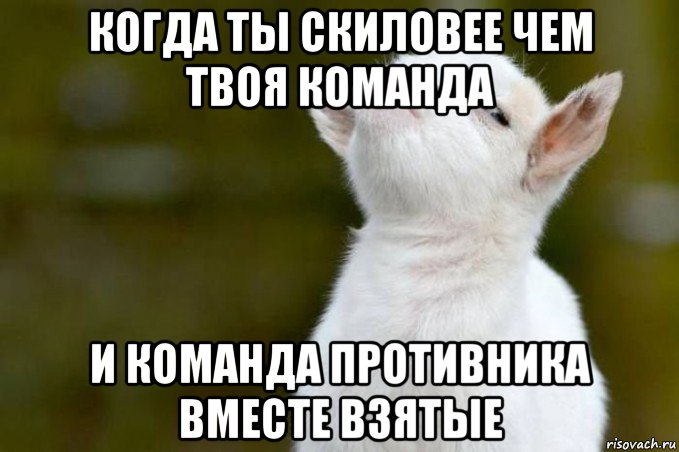 когда ты скиловее чем твоя команда и команда противника вместе взятые, Мем  Гордый козленок