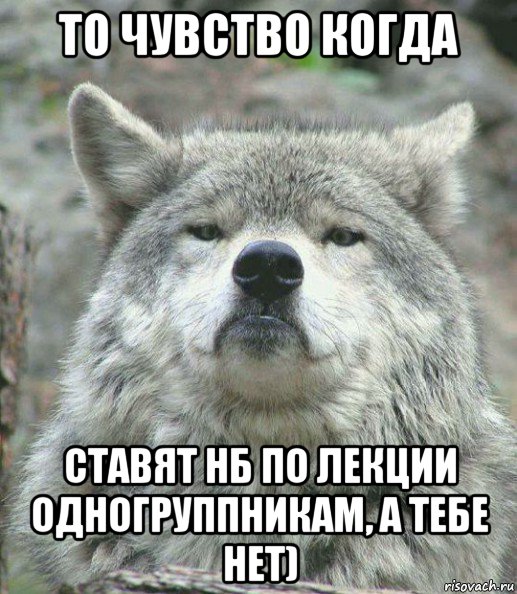 то чувство когда ставят нб по лекции одногруппникам, а тебе нет), Мем    Гордый волк