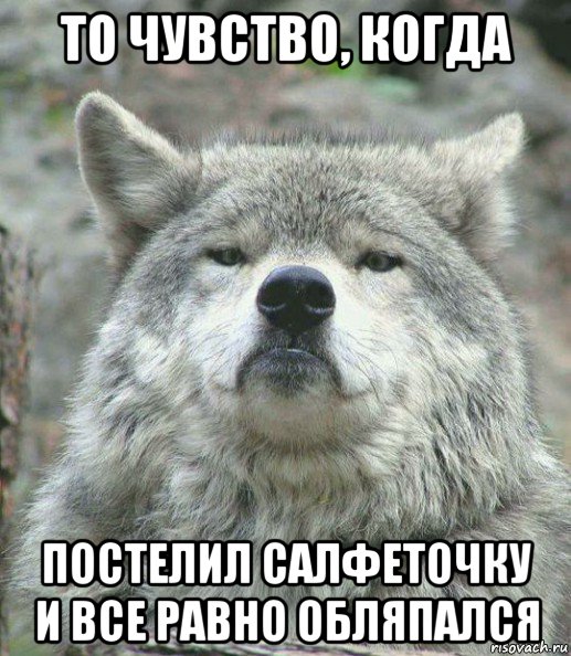 то чувство, когда постелил салфеточку и все равно обляпался, Мем    Гордый волк