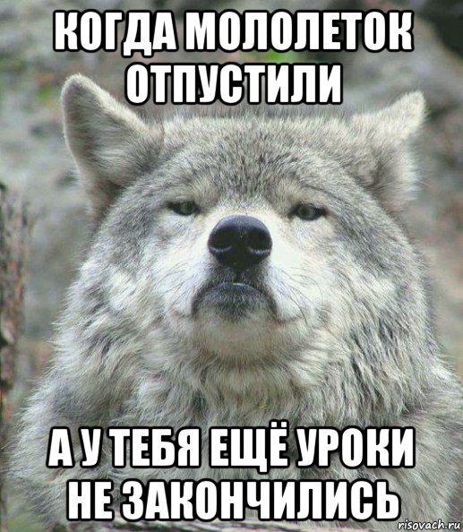 когда мололеток отпустили а у тебя ещё уроки не закончились, Мем    Гордый волк