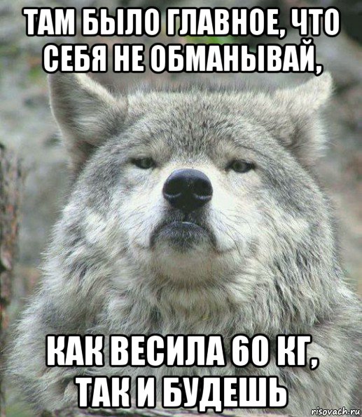 там было главное, что себя не обманывай, как весила 60 кг, так и будешь, Мем    Гордый волк