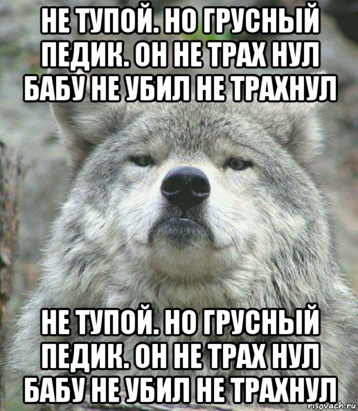 не тупой. но грусный педик. он не трах нул бабу не убил не трахнул не тупой. но грусный педик. он не трах нул бабу не убил не трахнул, Мем    Гордый волк