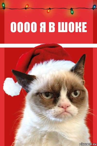 оооо я в шоке, Комикс  Grumpy cat new year