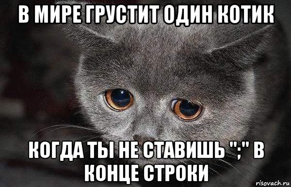в мире грустит один котик когда ты не ставишь ";" в конце строки, Мем  Грустный кот