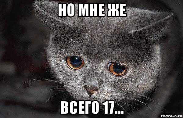 но мне же всего 17..., Мем  Грустный кот