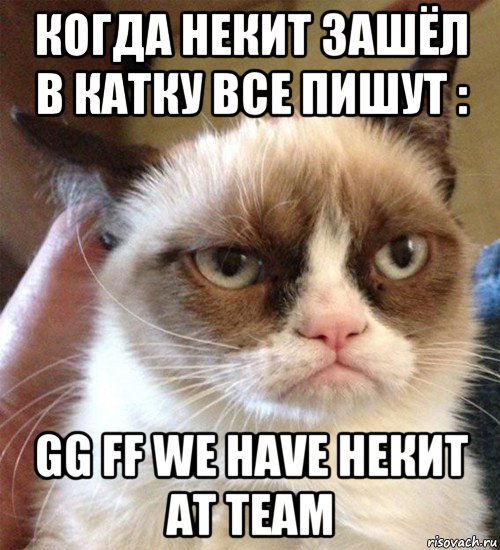 когда некит зашёл в катку все пишут : gg ff we have некит at team, Мем Грустный (сварливый) кот