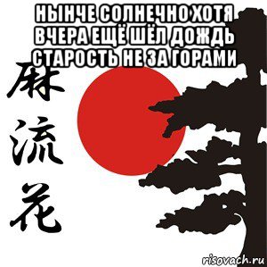 нынче солнечно хотя вчера ещё шёл дождь старость не за горами , Мем Хокку