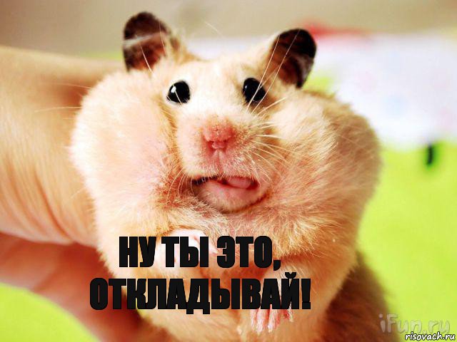 Ну ты это, откладывай!