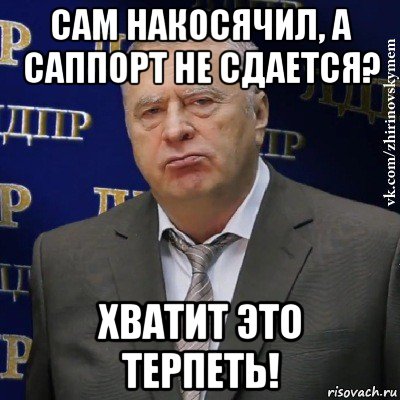 сам накосячил, а саппорт не сдается? хватит это терпеть!, Мем Хватит это терпеть (Жириновский)