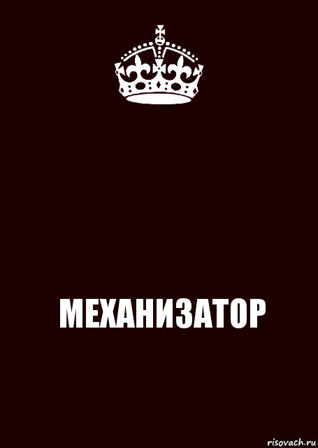  МЕХАНИЗАТОР