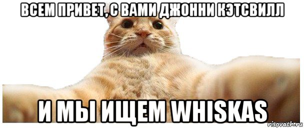 всем привет, с вами джонни кэтсвилл и мы ищем whiskas, Мем   Кэтсвилл