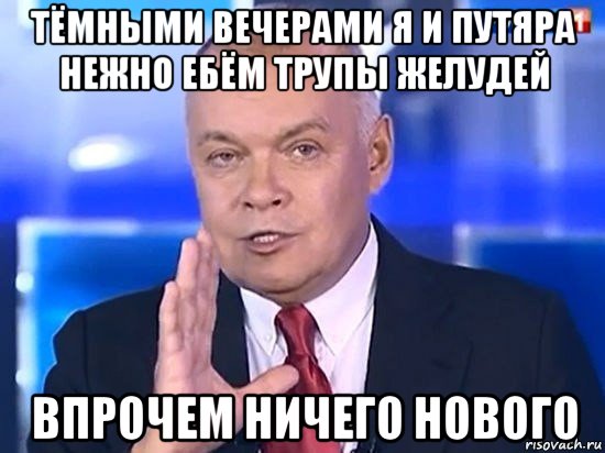 тёмными вечерами я и путяра нежно ебём трупы желудей впрочем ничего нового, Мем Киселёв 2014