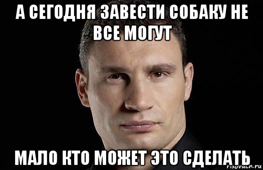 а сегодня завести собаку не все могут мало кто может это сделать, Мем Кличко