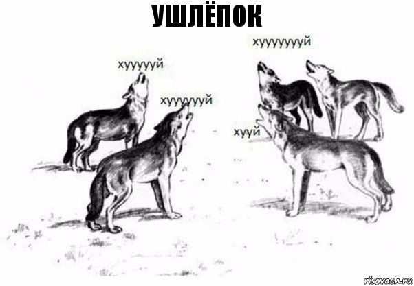 ушлёпок, Комикс Когда хочешь