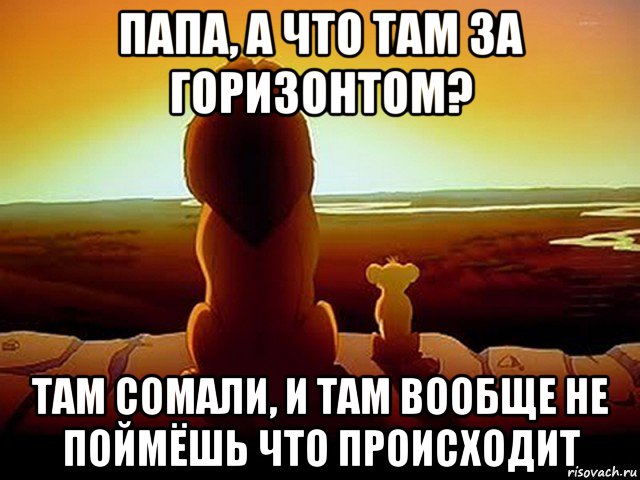 папа, а что там за горизонтом? там сомали, и там вообще не поймёшь что происходит, Мем  король лев