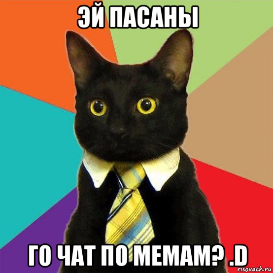 эй пасаны го чат по мемам? .d, Мем  Кошечка