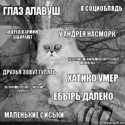 Глаз Алавуш Хатико умер У Андрея насморк Маленькие сиськи Друзья зовут гулять Я социоблядь ебырь далеко андрея в армию забирают не посмотрела с экозом порнуху нет списка фильмов на каникулы, Комикс  кот безысходность