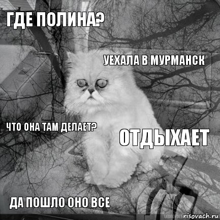 Где полина? отдыхает Уехала в Мурманск Да пошло оно все что она там делает?     , Комикс  кот безысходность