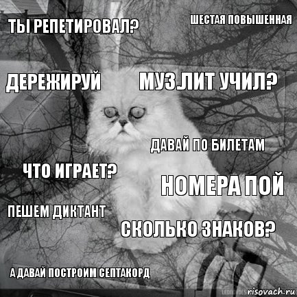 Ты репетировал? Номера пой Муз.лит учил? А давай построим септакорд Что играет? Шестая повышенная Сколько знаков? Дережируй Пешем диктант Давай по билетам, Комикс  кот безысходность