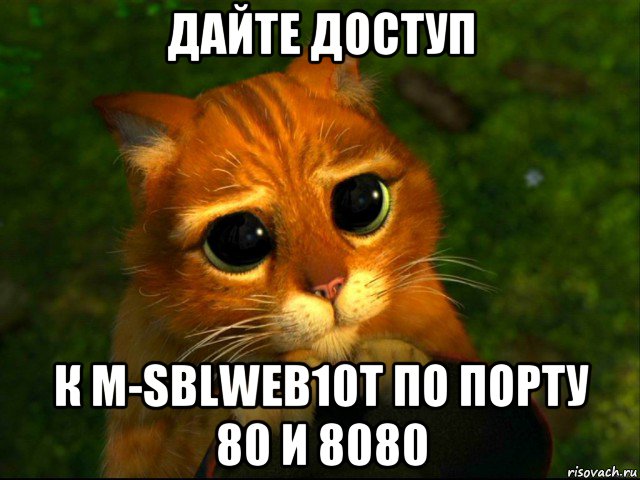 дайте доступ к m-sblweb10t по порту 80 и 8080, Мем кот из шрека