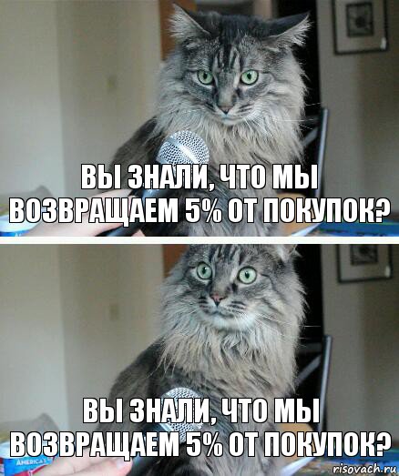 Вы знали, что мы возвращаем 5% от покупок? Вы знали, что мы возвращаем 5% от покупок?, Комикс  кот с микрофоном