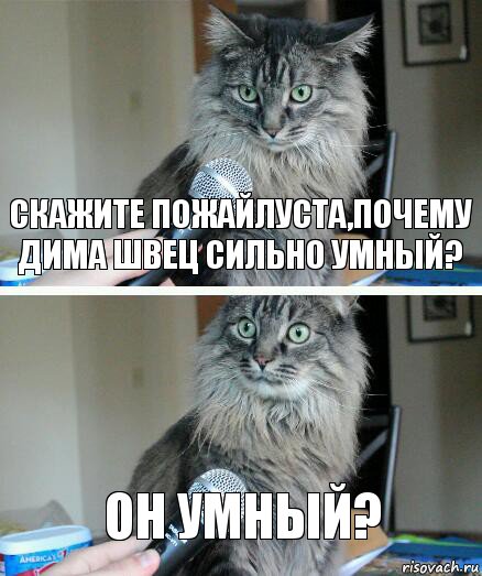 Скажите пожайлуста,почему Дима Швец сильно умный? Он умный?, Комикс  кот с микрофоном