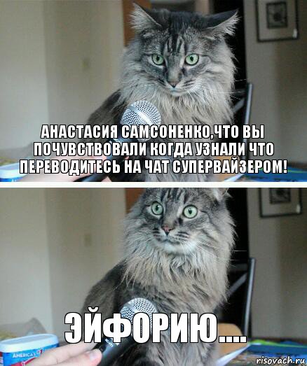 Анастасия Самсоненко,что Вы почувствовали когда узнали что переводитесь на чат супервайзером! Эйфорию...., Комикс  кот с микрофоном