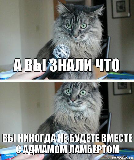 а вы знали что вы никогда не будете вместе с адмамом ламбертом, Комикс  кот с микрофоном