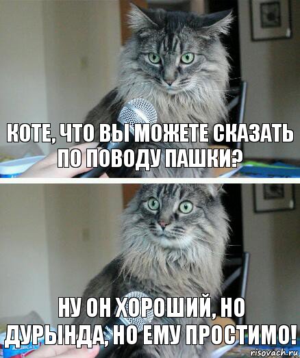 Коте, что вы можете сказать по поводу Пашки? Ну он хороший, Но Дурында, но ему простимо!, Комикс  кот с микрофоном