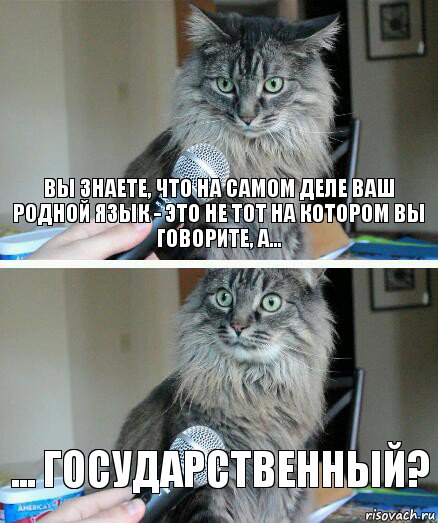 вы знаете, что на самом деле ваш родной язык - это не тот на котором вы говорите, а... ... государственный?, Комикс  кот с микрофоном