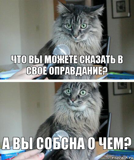 Что вы можете сказать в свое оправдание? А вы СОБСНА о чем?, Комикс  кот с микрофоном