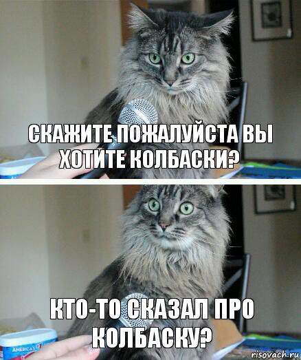 скажите пожалуйста вы хотите колбаски? кто-то сказал про колбаску?, Комикс  кот с микрофоном