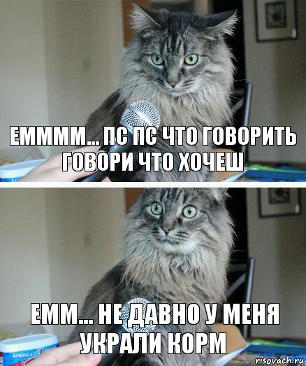 емммм... пс пс что говорить Говори что хочеш Емм... не давно у меня украли корм, Комикс  кот с микрофоном