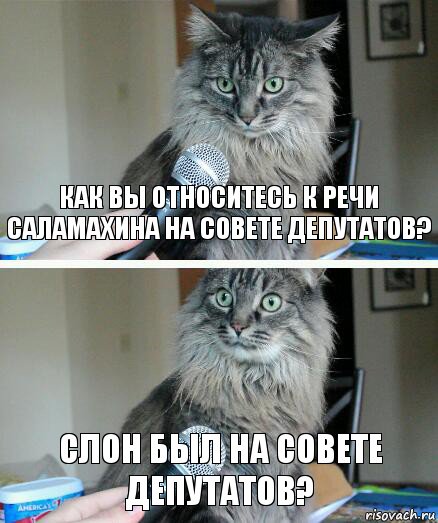 как вы относитесь к речи саламахина на совете депутатов? слон был на совете депутатов?, Комикс  кот с микрофоном