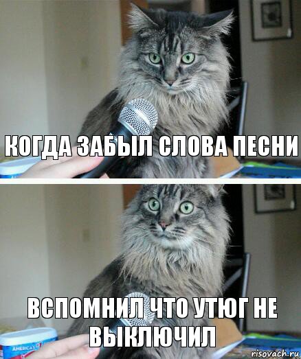 Когда забыл слова песни вспомнил что утюг не выключил, Комикс  кот с микрофоном