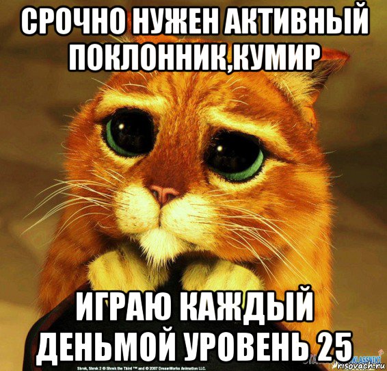 срочно нужен активный поклонник,кумир играю каждый деньмой уровень 25, Мем Котик из Шрека