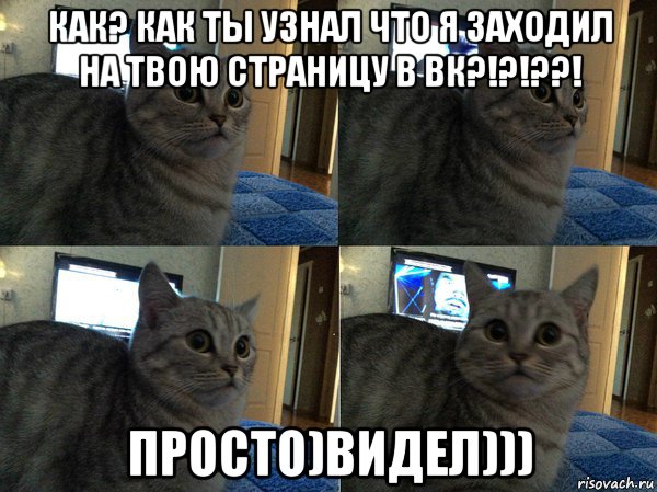 как? как ты узнал что я заходил на твою страницу в вк?!?!??! просто)видел))), Мем  Кот в шоке