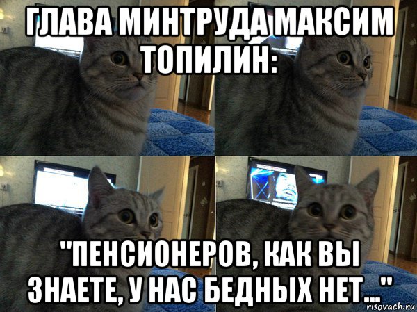 глава минтруда максим топилин: "пенсионеров, как вы знаете, у нас бедных нет...", Мем  Кот в шоке