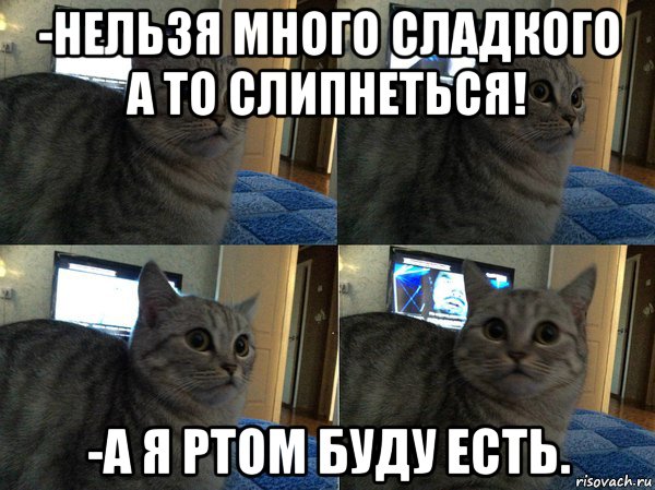 -нельзя много сладкого а то слипнеться! -а я ртом буду есть., Мем  Кот в шоке